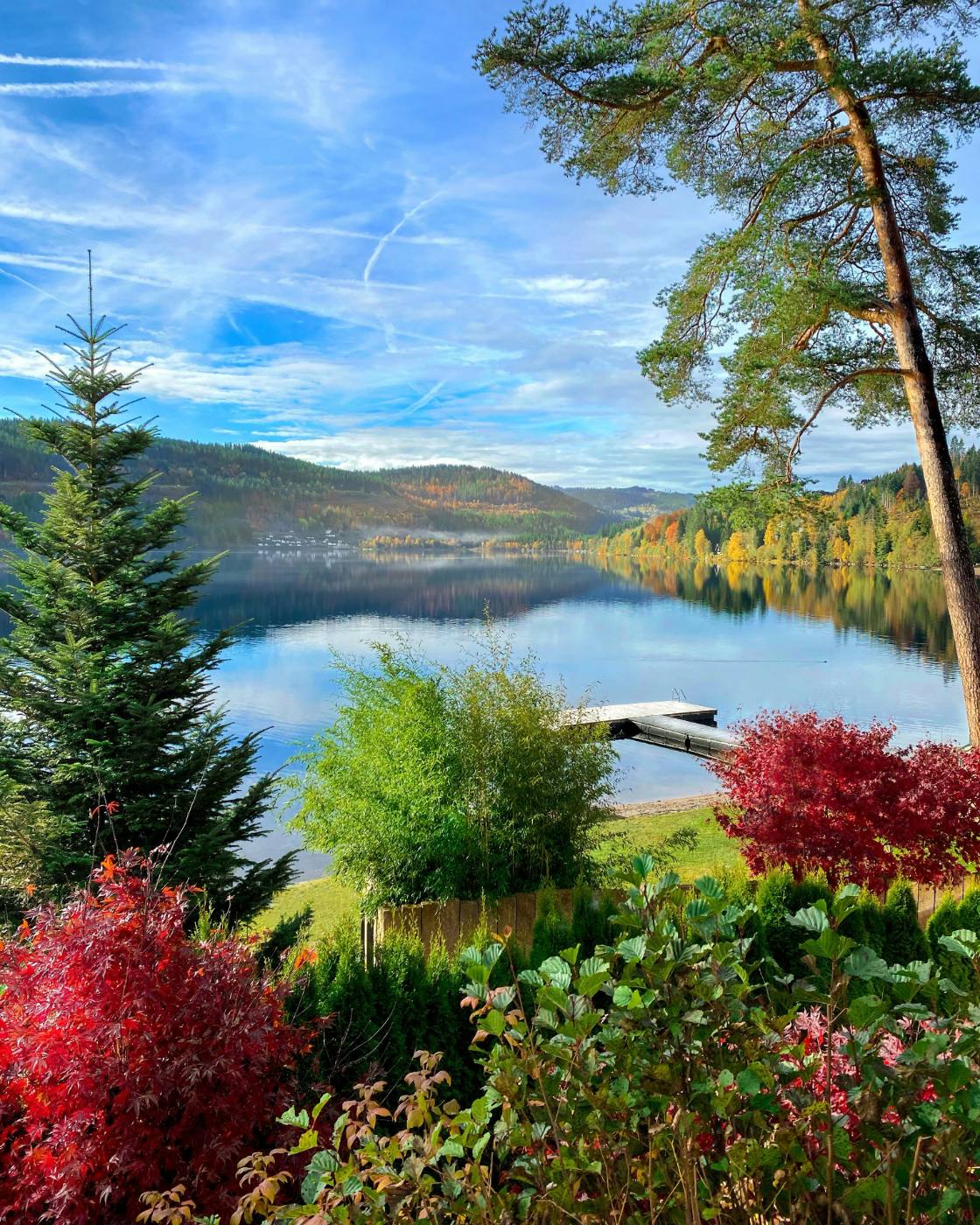 Schwarzwald